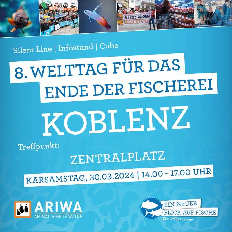 Welttag für das Ende der Fischerei | Koblenz
