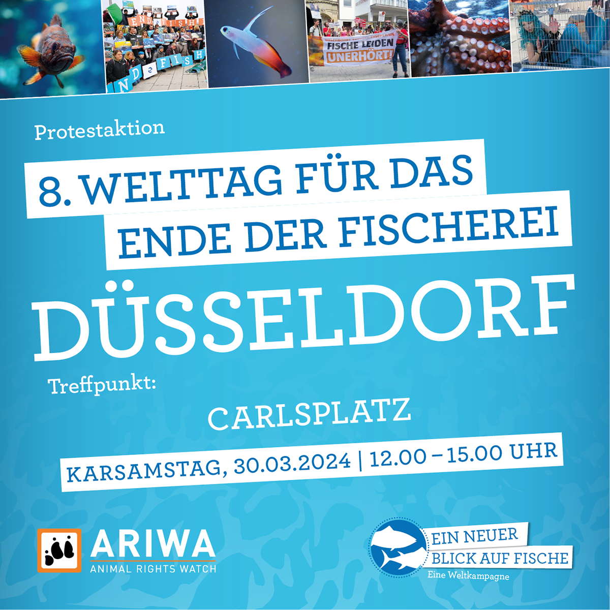 Welttag für das Ende der Fischerei | Düsseldorf
