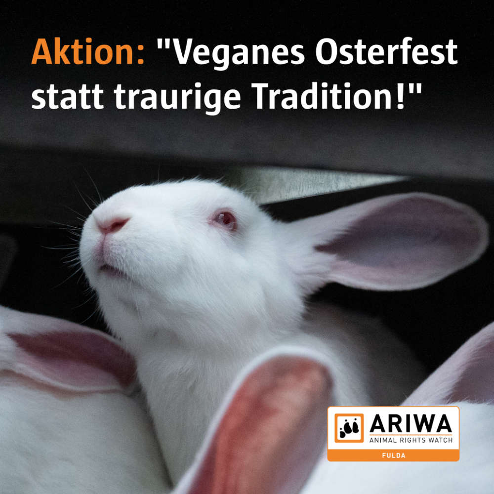 Mahnwache: "Veganes Osterfest statt traurige Tradition!"