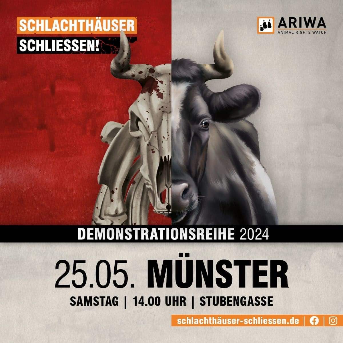 Münster für die Schließung aller Schlachthäuser