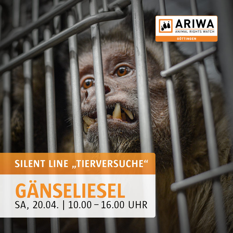 Internationaler Tag zur Abschaffung der Tierversuche - Aktion Göttingen