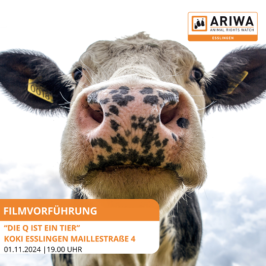 Welt-Vegan-Tag mit Filmvorführung