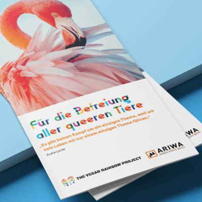 Vegan Block und Infostand auf dem CSD Aschaffenburg