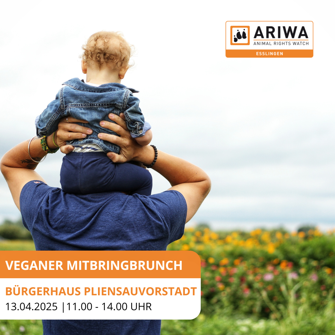 Veganer Mitbringbrunch mit Vortrag