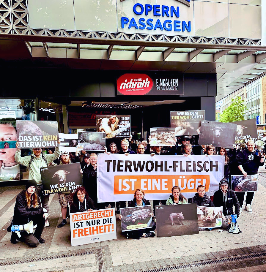 Die "Tierwohl"-Lüge