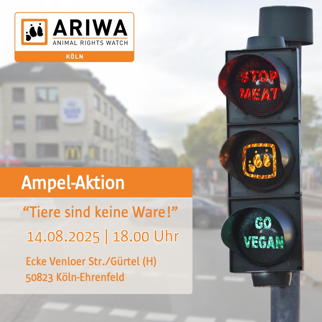 Ampel-Aktion Ampelaktion