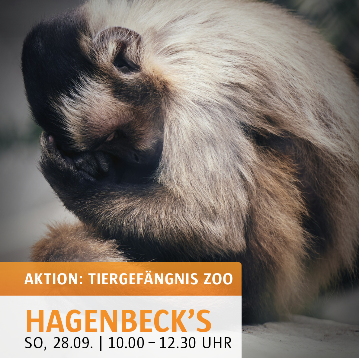 Protest gegen Zoos