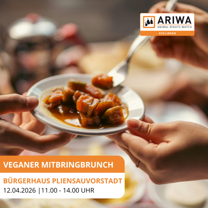 Veganer Mitbringbrunch mit Vortrag