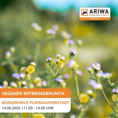 Veganer Mitbringbrunch mit Vortrag