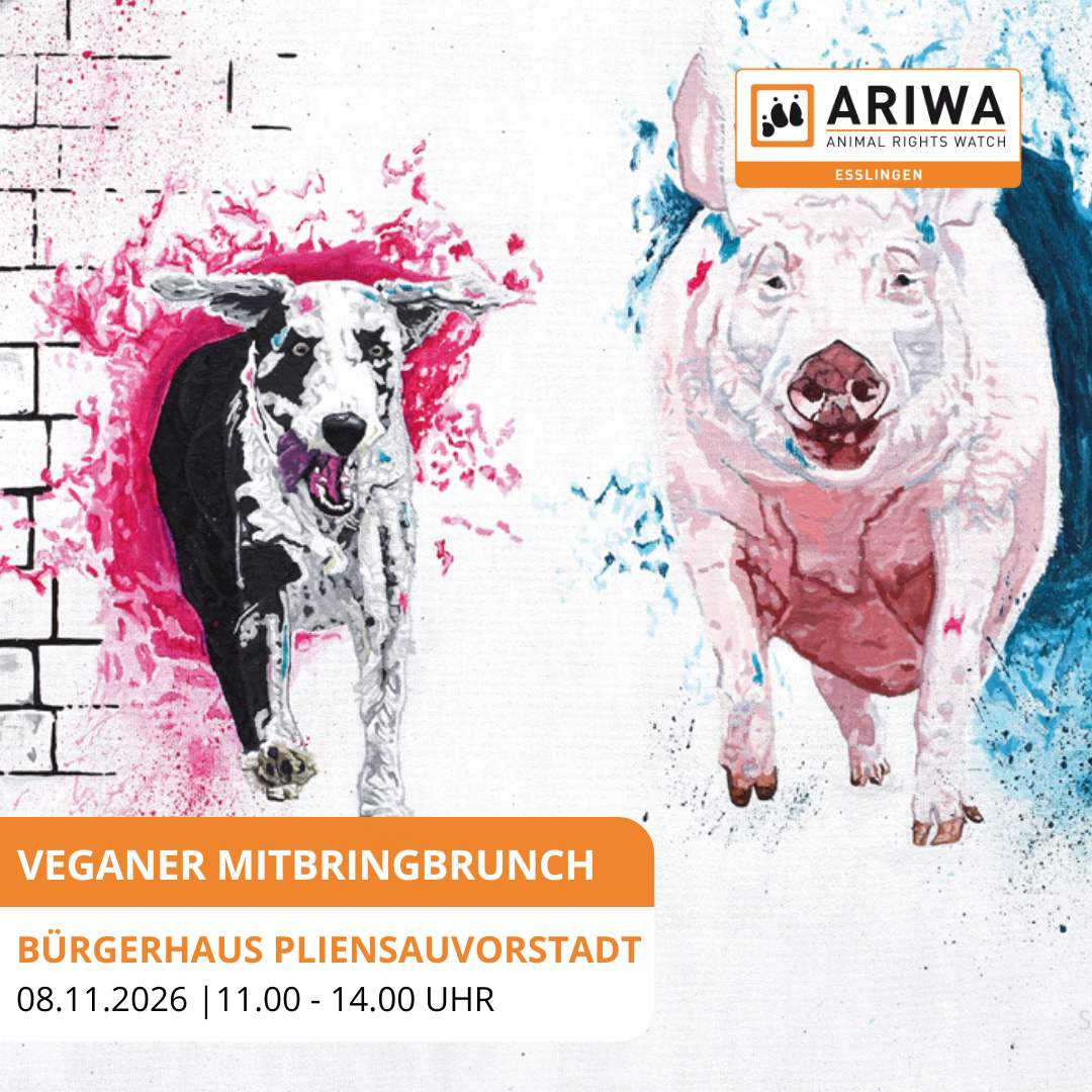 Insta_Brunch_NOV_2026-1 Veganer Mitbringbrunch mit Vortrag
