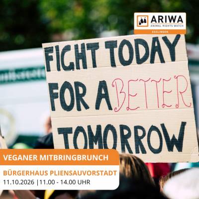 Veganer Mitbringbrunch mit Vortrag
