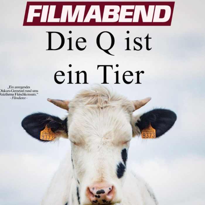 Filmabend und Austausch