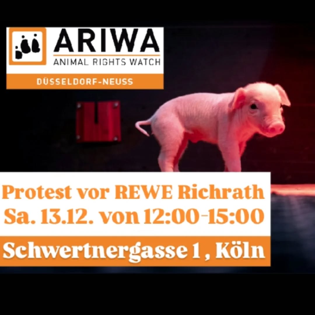 Protest vor Rewe Richrath in Köln gegen Haltungsformen und Biosiegel