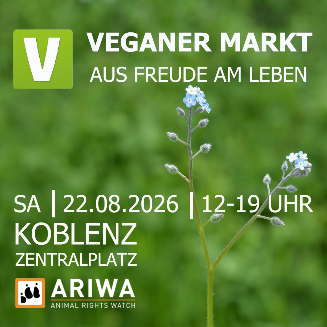 Veganer Markt Koblenz