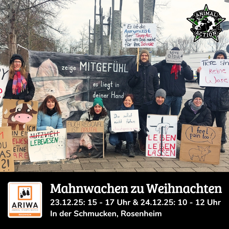 Mahnwache zu Weihnachten