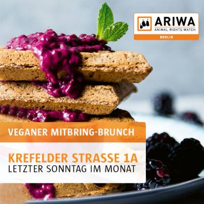 Veganer Mitbringbrunch Dezember 2026 | Berlin