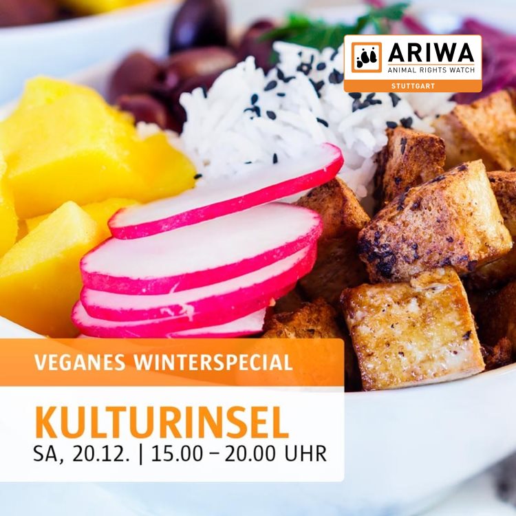 Veganes Winterspecial – Mitbringbuffet