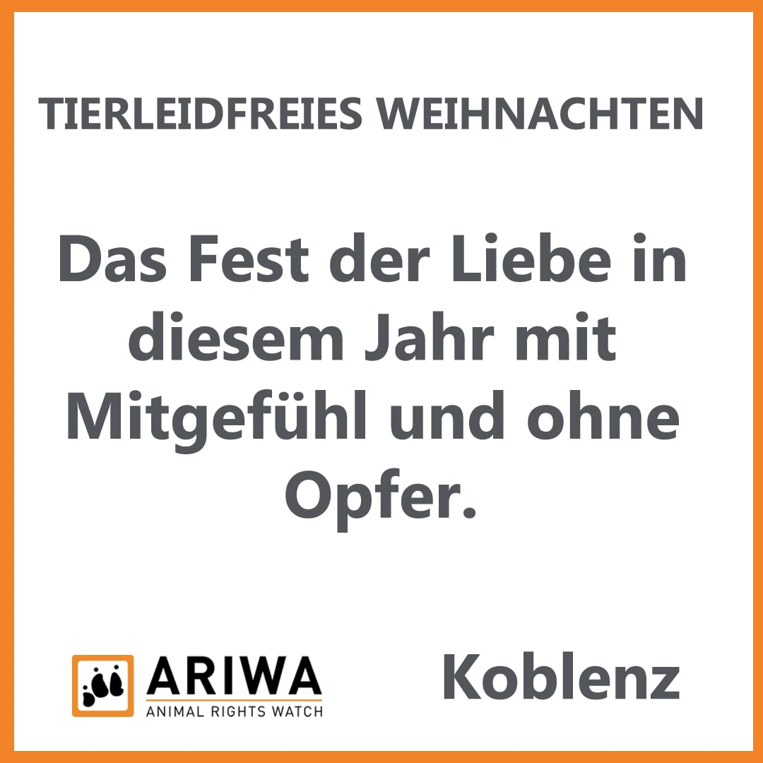 Tierleidfreies Weihnachten