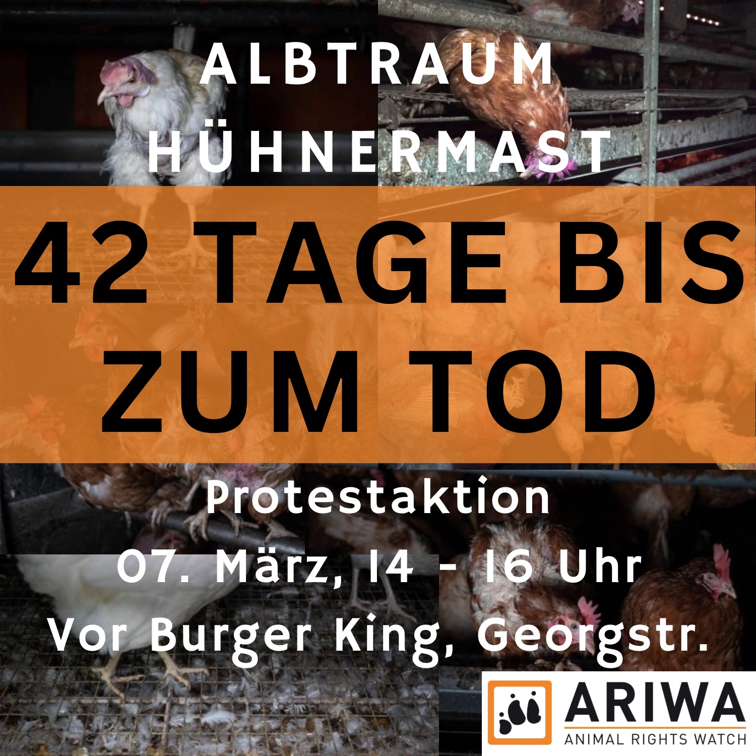 42 Tage bis zum Tod - Protestaktion