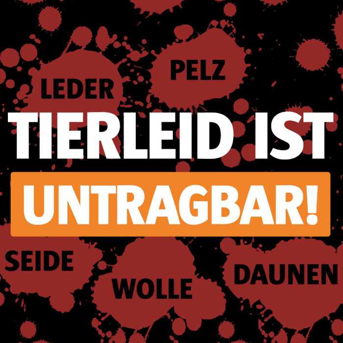 Tierleid ist untragbar