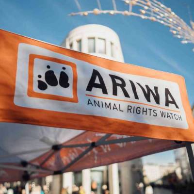 ARIWA-Infostand auf dem Besser als nix Festival