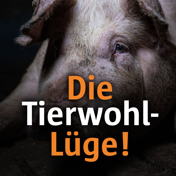 Die Tierwohl-Lüge