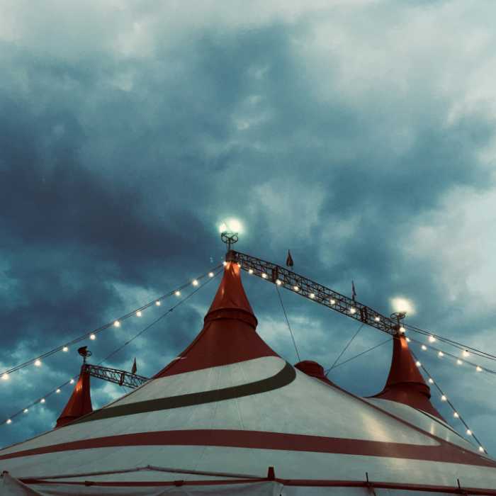 Für einen Zirkus ohne Tiere