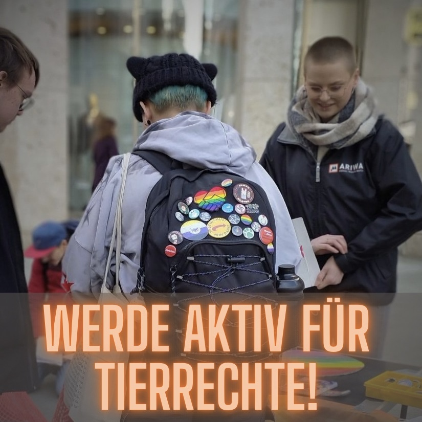 Aktiventreffen | ARIWA Hannover