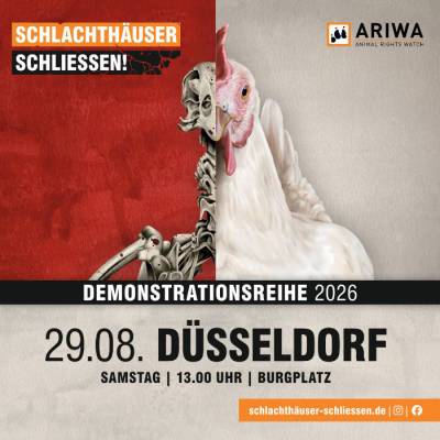 Demo in Düsseldorf: "Schlachthäuser schließen!"