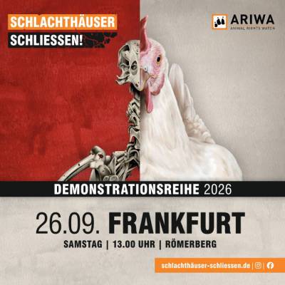 Demo in Frankfurt: "Schlachthäuser schließen!"