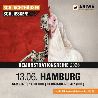 Demo in Hamburg: "Schlachthäuser schließen!"
