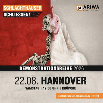 Demo in Hannover: "Schlachthäuser schließen!"