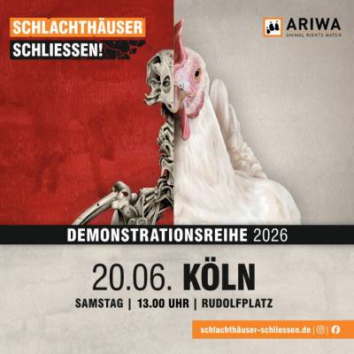 Demo in Köln: "Schlachthäuser schließen!"