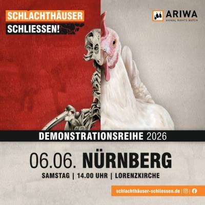Demo in Nürnberg: "Schlachthäuser schließen!"