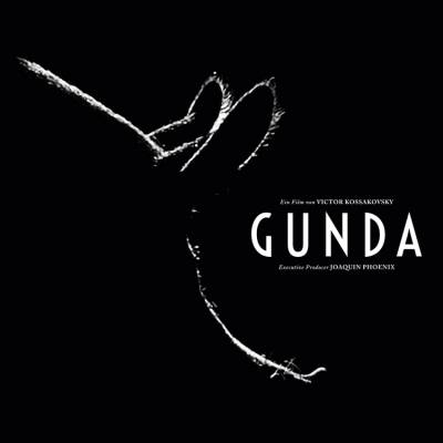 Vegan-Brunch mit Filmvorführung