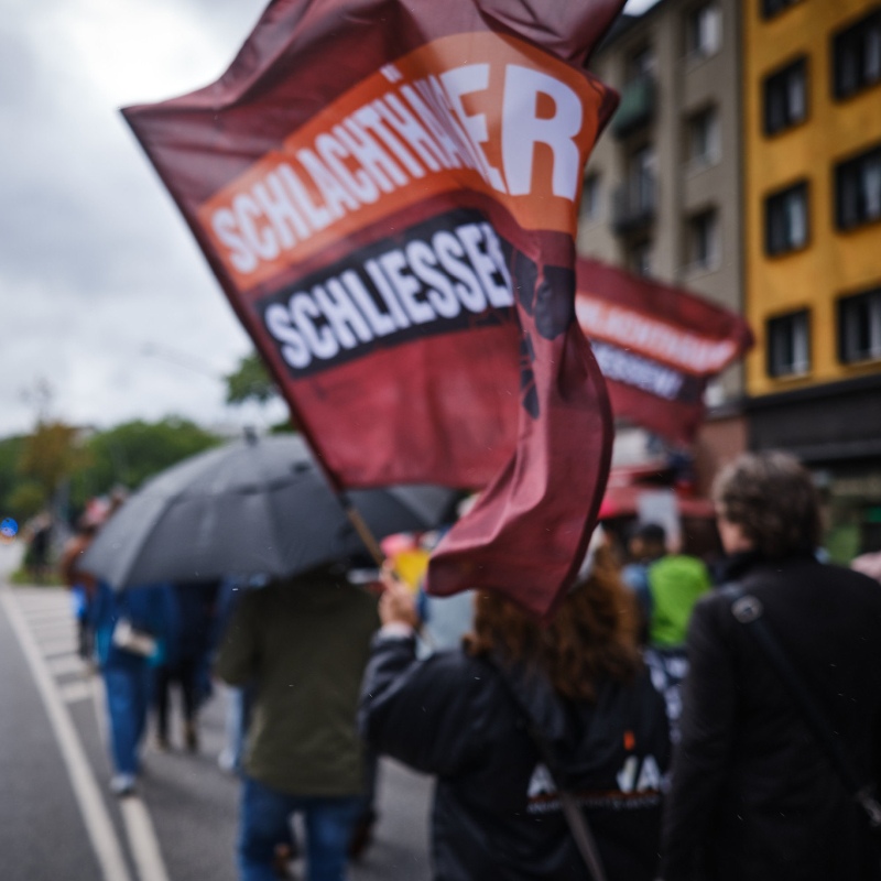 Demonstration mit Fahne
