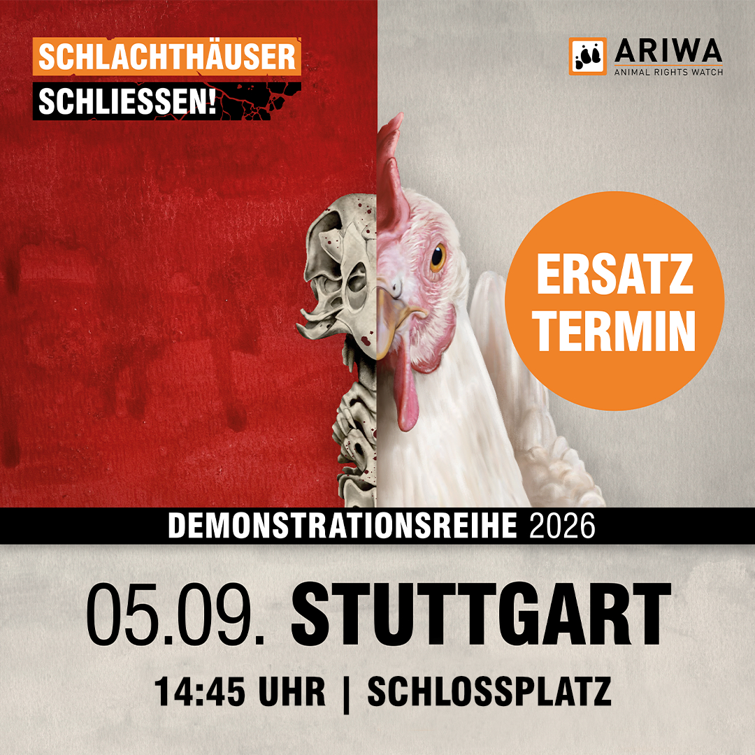 Demo in Stuttgart: „Schlachthäuser schließen!“