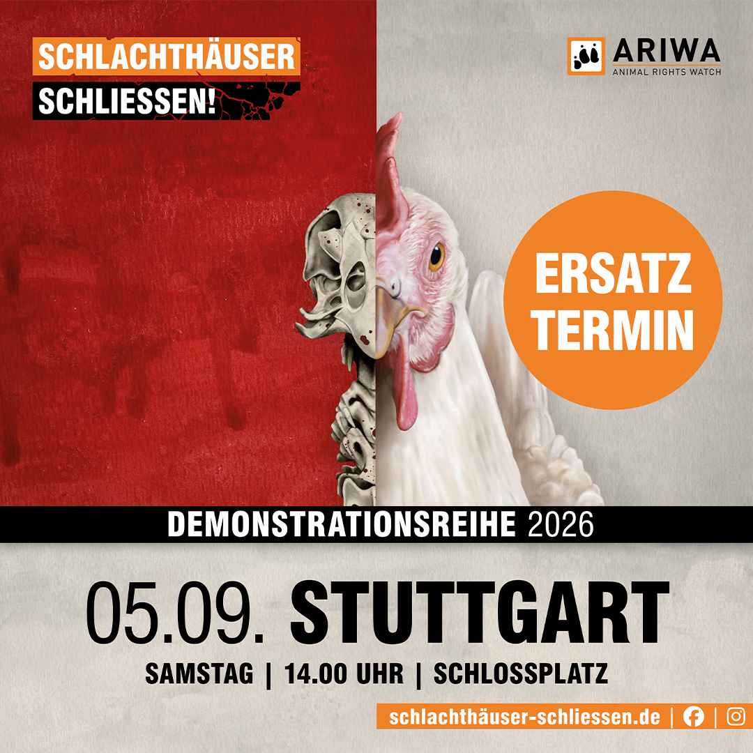 Demo in Stuttgart: „Schlachthäuser schließen!“