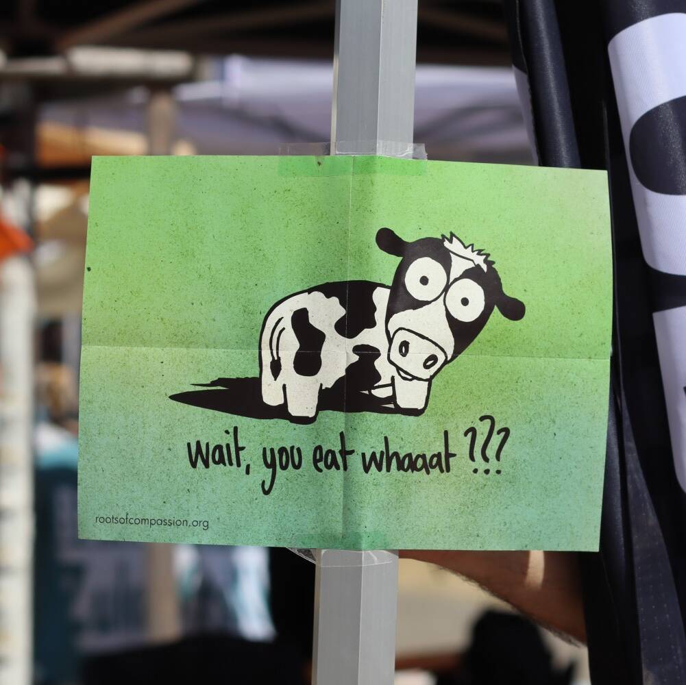 Infostand Tierrechte