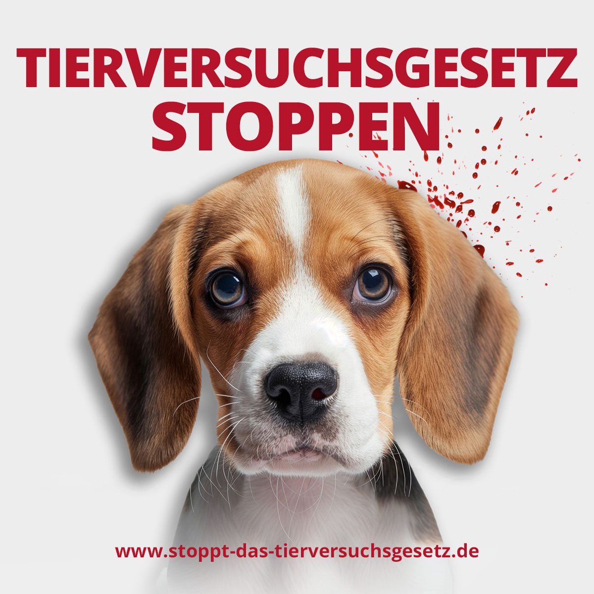 Gegen das neue Tierversuchsgesetz: Ampelaktion & Unterschriften sammeln