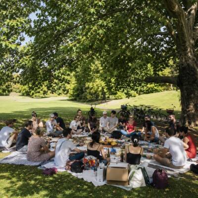 Veganes Mitbring-Picknick