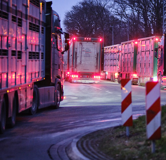Mahnwache Tönnies